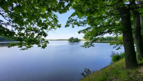 Koupání na Třeboňsku
