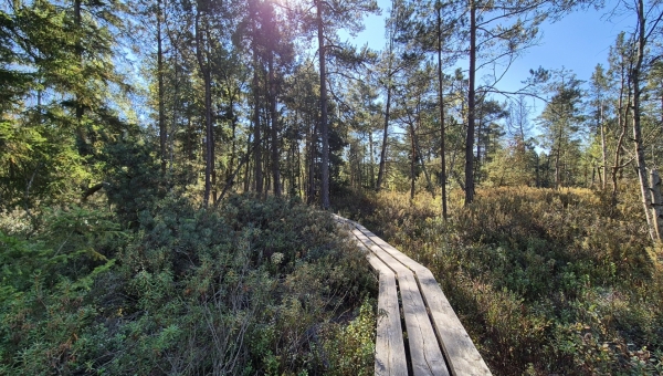 Naučné stezky Třeboňska